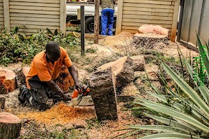Tree Felling Pretoria East - Boomsloping Pretoria Oos place picture